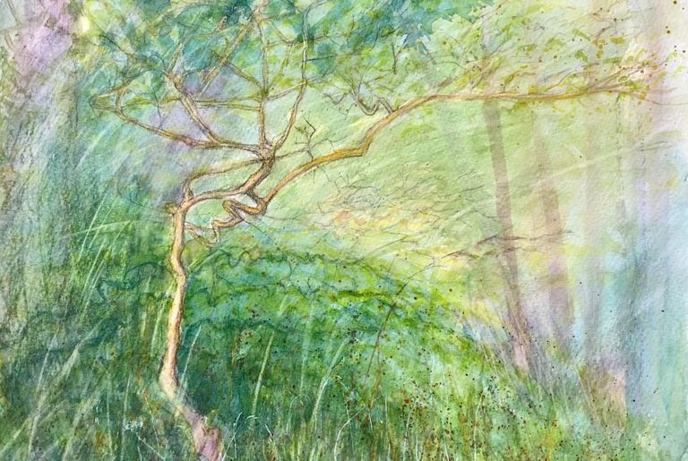 Watercolour